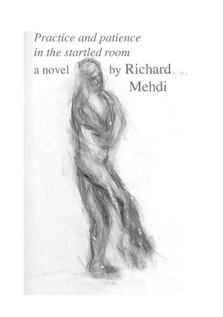 Practice and Patience in the Startled Room by Richard James Mehdi