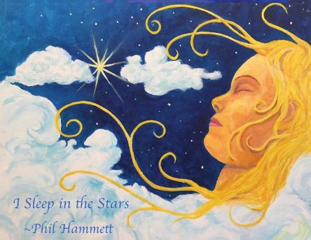I Sleep in the Stars Phil Hammett 9781965134719
