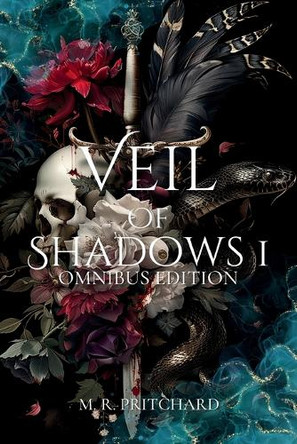 Veil of Shadows I M R Pritchard 9781957709536