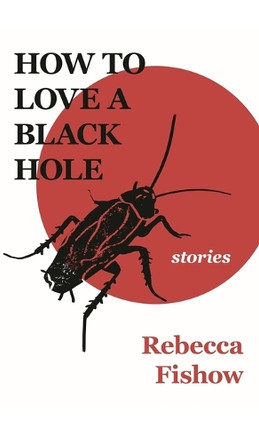 How to Love a Black Hole by Rebecca Fishow