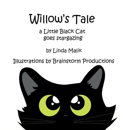 Willow's Tale: a Little Black Cat goes stargazing Linda Malik 9781733049825