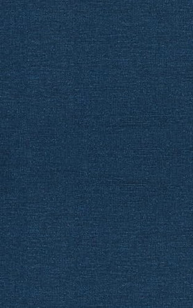 Short Circuits: Electric and Eccentric Tales Finnegan Jones 9798348398453