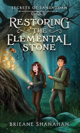 Restoring the Elemental Stone Brieane Shanahan 9798990422513