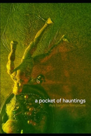 A Pocket Of Hauntings by Rhys Hamilton Livingstone