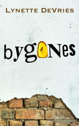 Bygones by Lynette DeVries