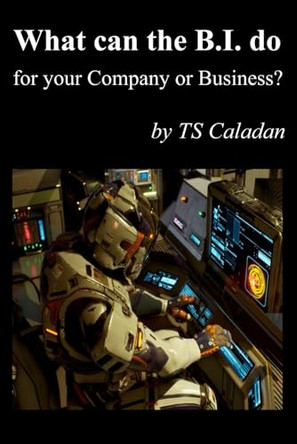 What can the B.I. do for your Company or Business by Ts Caladan