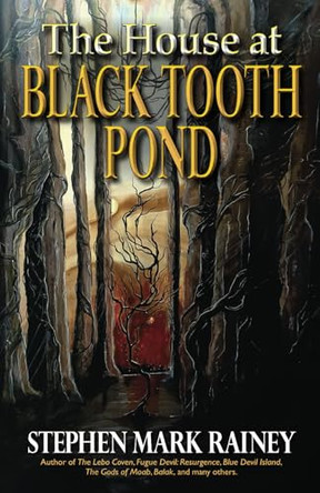 The House at Black Tooth Pond by Stephen Mark Rainey
