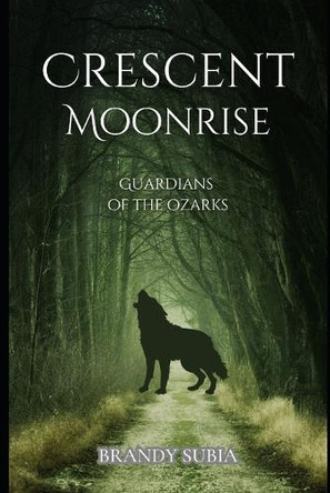 Crescent Moonrise Brandy Subia 9798313535029