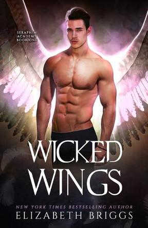 Seraphim Academy 1: Wicked Wings Elizabeth Briggs 9781677399840