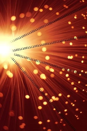 The Everything Game Bradley Naranch 9798313002330