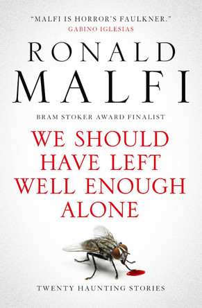 We Should Have Left Well Enough Alone Ronald Malfi 9781835410608