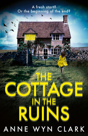 The Cottage in the Ruins Anne Wyn Clark 9780008763435