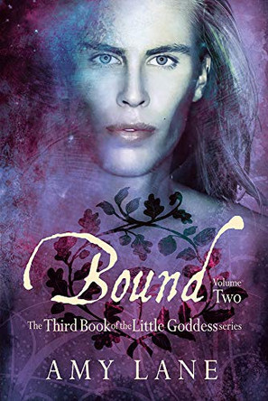 Bound, Vol. 2 Amy Lane 9781634764599