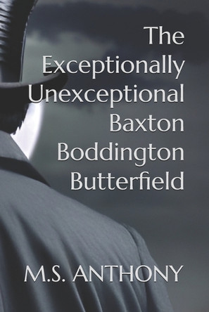 The Exceptionally Unexceptional Baxton Boddington Butterfield: Journey to a shadow realm in search of a rogue Innkeeper who seeks to rebuild the world in his image. M S Anthony 9798289663184
