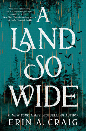 A Land So Wide: A Novel Erin A. Craig 9780593686805