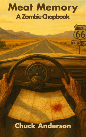 Meat Memory: A Zombie Chapbook Chuck Anderson 9781806210961