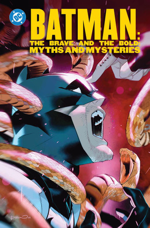 Batman: The Brave and the Bold: Myths and Mysteries Zipporah Smith 9781799506768