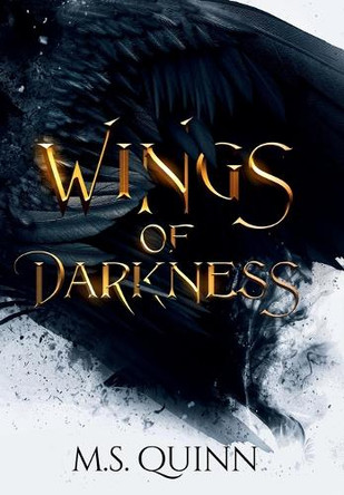 Wings of Darkness M S Quinn 9781965304051