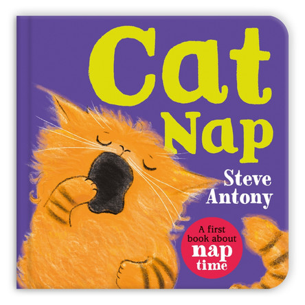 Cat Nap Steve Antony 9781035029037