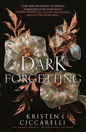 A Dark Forgetting Kristen Ciccarelli 9780008783914