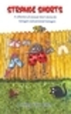 Strange Shorts Lesley Ann Eden 9781835386521