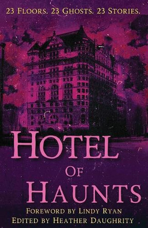 Hotel of Haunts Heather Daughrity 9781965546222