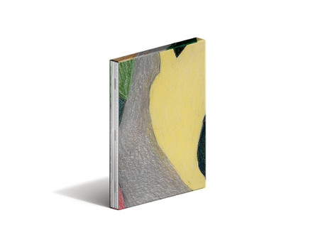 The Mastermind Kelly Reichardt 9798991658027