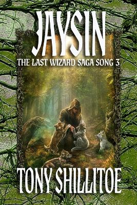 Jaysin: The Last Wizard Saga Song 3 Tony Shillitoe 9781764184816