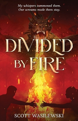 Divided by Fire Scott Wasilewski 9781806053469