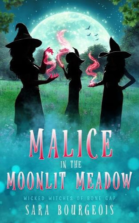 Malice in the Moonlit Meadow Sara Bourgeois 9798287742744