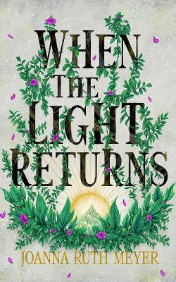 When the Light Returns Joanna Ruth Meyer 9781662532771