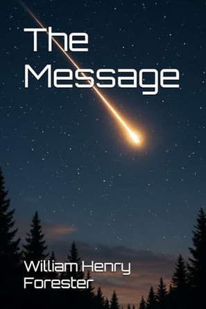 The Message Catherine L Davis 9798292202974