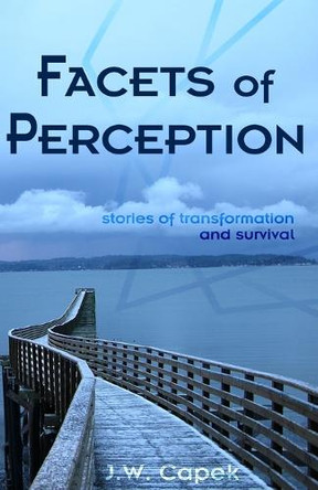 Facets of Perception J W Capek 9798894390642