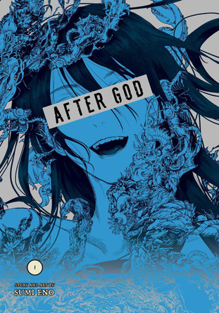 After God, Vol. 1 Sumi Eno 9781974749706 [USED COPY]