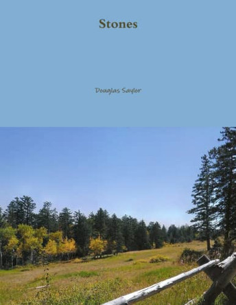 Stones Douglas Saylor 9781257944309