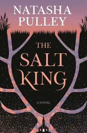 The Salt King Natasha Pulley 9781639737291