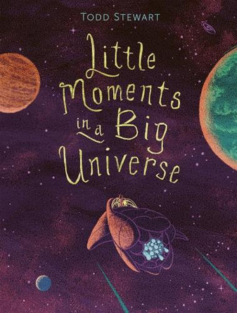 Little Moments in a Big Universe Todd Stewart 9781771475907