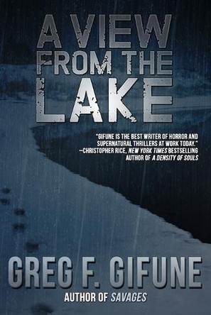 A View From the Lake T M Wright 9781946025043