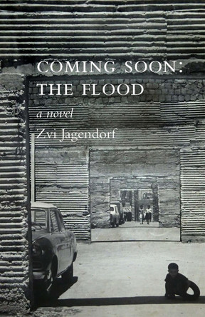 Coming Soon: The Flood Zvi Jagendorf 9781905559923