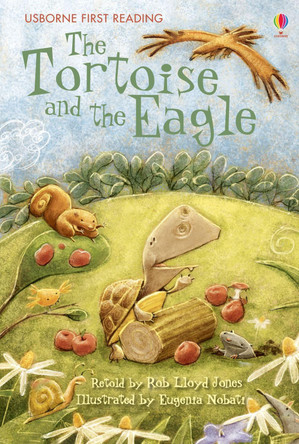 The Tortoise and the Eagle Rob Lloyd Jones 9780746096611