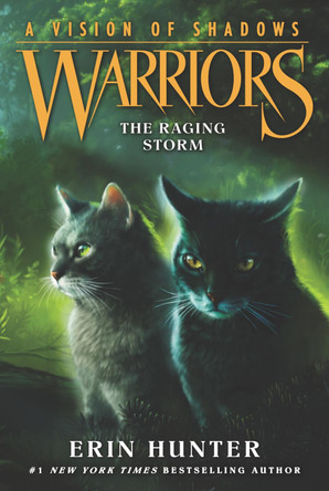 Warriors: A Vision of Shadows #6: The Raging Storm Erin Hunter 9780062386595