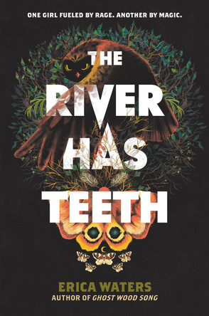 The River Has Teeth Erica Waters 9780062894250