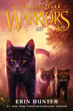 Warriors: A Starless Clan #2: Sky Erin Hunter 9780063050150