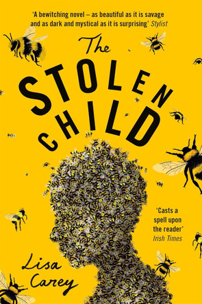 The Stolen Child Lisa Carey 9781474603812