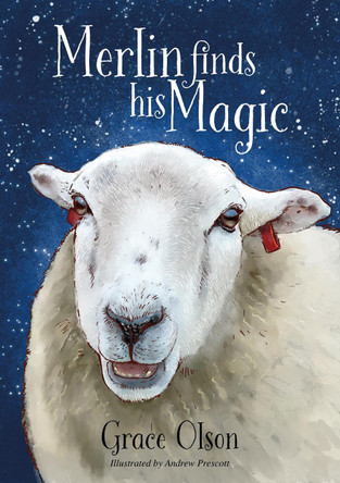 Merlin finds his Magic Grace Olson 9781839527357