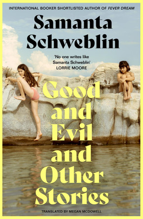 Good and Evil and Other Stories Samanta Schweblin 9781035050178