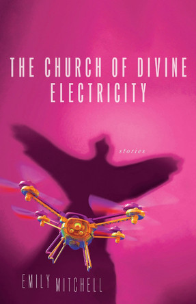 The Church of Divine Electricity Emily Mitchell 9780299354343