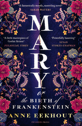 Mary: or, the Birth of Frankenstein Anne Eekhout 9781782278993