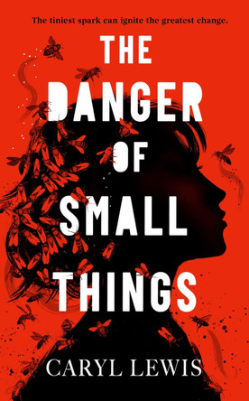 The Danger of Small Things: The YA debut from an award-winning and bestselling Welsh storyteller Caryl Lewis 9781398549272