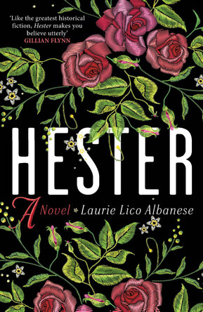 Hester: a bewitching tale of desire and ambition Laurie Lico Albanese 9780715654842
